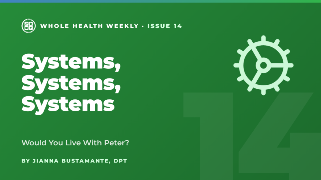 Whole Health Weekly issue 14 cover: Systems, Systems, Systems